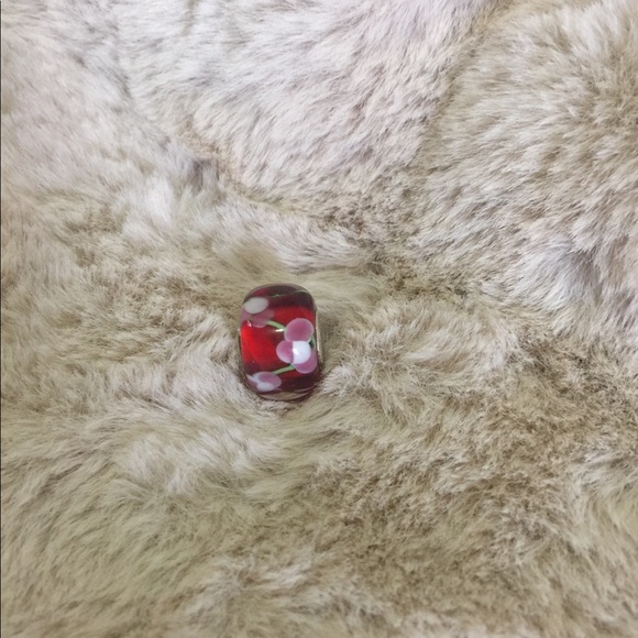 🌷European Charm Beads - Picture 4 of 8